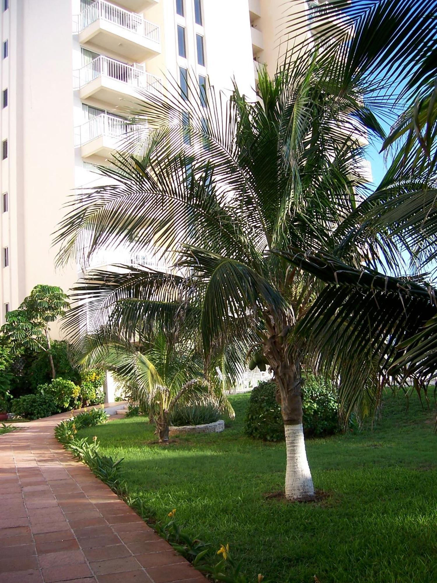 Salvia Cancun Aparts 外观 照片
